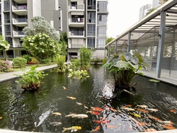 La Fiesta (D19), Condominium #260798781